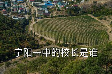 寧陽一中的校長(zhǎng)是誰