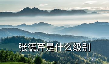 張德芹是什么級(jí)別