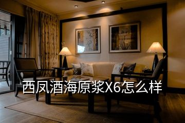 西鳳酒海原漿X6怎么樣