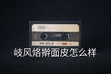 岐風(fēng)烙搟面皮怎么樣