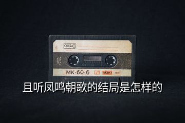 且聽(tīng)鳳鳴朝歌的結(jié)局是怎樣的