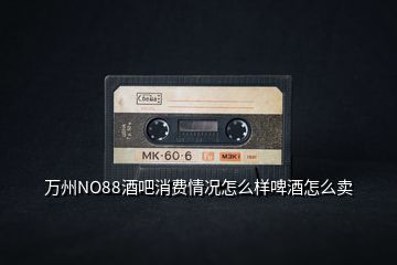 萬(wàn)州NO88酒吧消費(fèi)情況怎么樣啤酒怎么賣(mài)