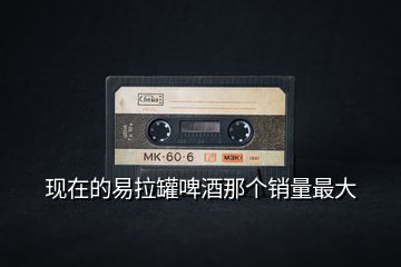現(xiàn)在的易拉罐啤酒那個(gè)銷(xiāo)量最大