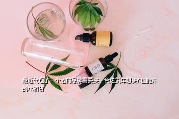 最近代理了一個(gè)酒的品牌需要買一臺(tái)送貨車想買C證能開的小箱貨