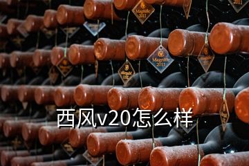 西風v20怎么樣