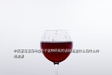 中藥里有沒(méi)有叫香奈子這種藥有的話(huà)別名是什么有什么作用謝謝