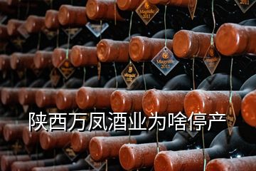 陜西萬鳳酒業(yè)為啥停產
