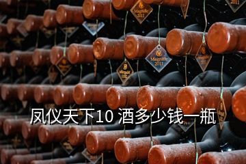 鳳儀天下10 酒多少錢(qián)一瓶