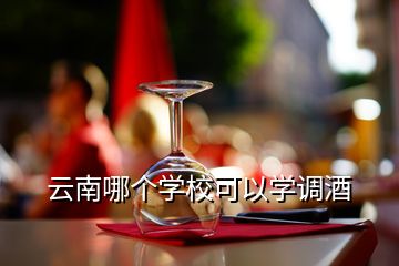 云南哪個(gè)學(xué)?？梢詫W(xué)調(diào)酒