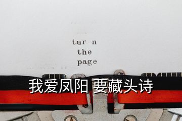 我愛(ài)鳳陽(yáng) 要藏頭詩(shī)
