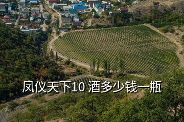 鳳儀天下10 酒多少錢(qián)一瓶