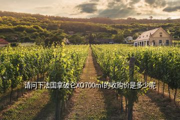 請(qǐng)問(wèn)下法國(guó)拿破侖XO700ml的收購(gòu)價(jià)是多少呢