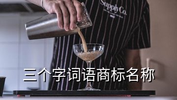 三個(gè)字詞語商標(biāo)名稱