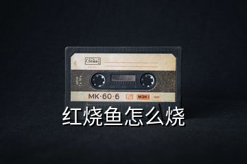 紅燒魚(yú)怎么燒