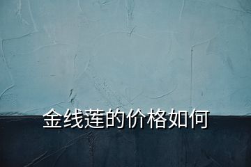 金線(xiàn)蓮的價(jià)格如何