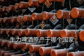 生力啤酒原產(chǎn)于哪個國家