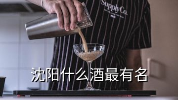 沈陽(yáng)什么酒最有名