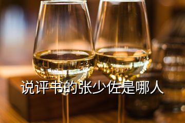 說評(píng)書的張少佐是哪人