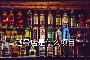 酒號店是什么項目