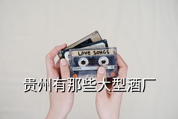 貴州有那些大型酒廠