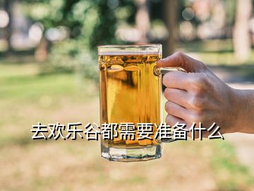 去歡樂谷都需要準備什么
