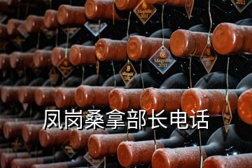 鳳崗桑拿部長(zhǎng)電話