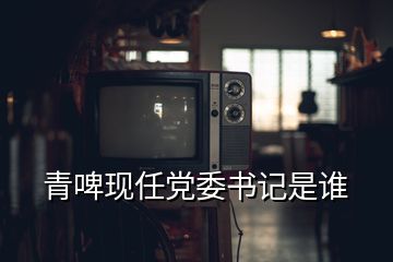 青啤現任黨委書記是誰