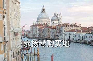 求揚(yáng)琴購(gòu)買地