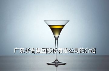 廣東長(zhǎng)青集團(tuán)股份有限公司的介紹