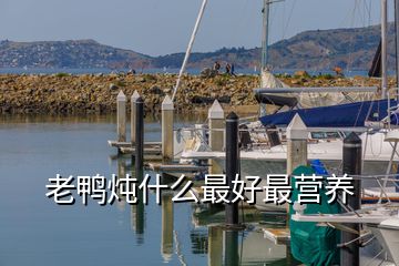 老鴨燉什么最好最營養(yǎng)