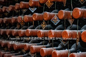 I want to SOHO 蘇荷酒吧?？?極品男生 BPM128 mash up 這首DJ
