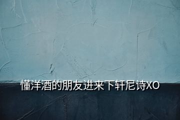 懂洋酒的朋友進(jìn)來下軒尼詩XO