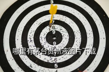 哪里有茅臺(tái)貴州液圖片下載