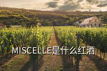 MISCELLE是什么紅酒