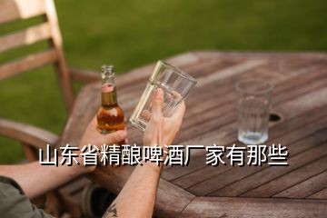 山東省精釀啤酒廠(chǎng)家有那些