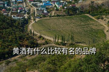 黃酒有什么比較有名的品牌