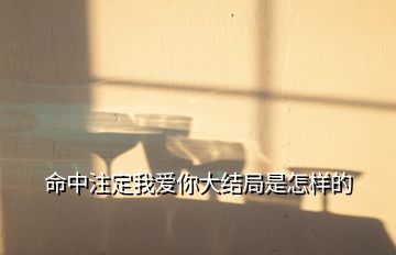 命中注定我愛你大結(jié)局是怎樣的