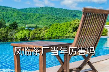 鳳臨茶廠當(dāng)年厲害嗎
