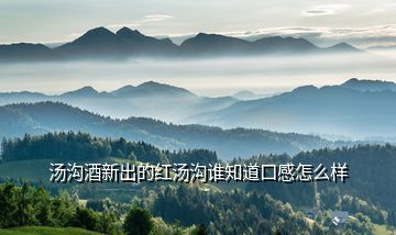 湯溝酒新出的紅湯溝誰知道口感怎么樣