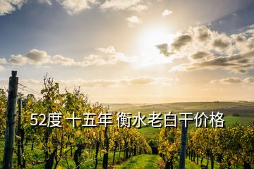 52度 十五年 衡水老白干價(jià)格