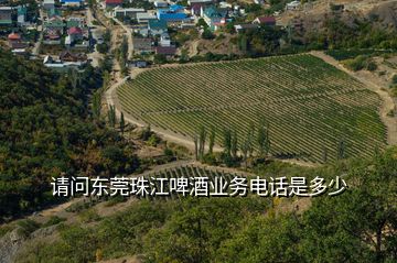 請問東莞珠江啤酒業(yè)務(wù)電話是多少
