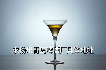 求揚(yáng)州青島啤酒廠具體地址