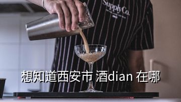 想知道西安市 酒dian 在哪