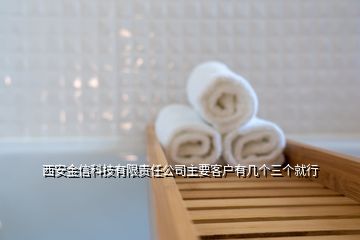 西安金信科技有限責(zé)任公司主要客戶有幾個(gè)三個(gè)就行