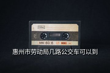 惠州市勞動(dòng)局幾路公交車可以到