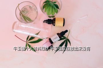 牛玉強(qiáng)個人資料現(xiàn)狀 牛玉強(qiáng)現(xiàn)在放出來沒有