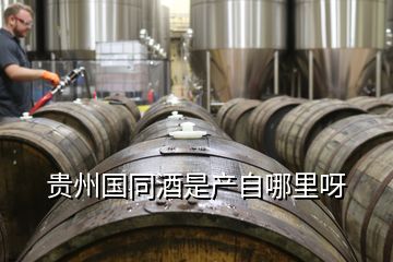 貴州國同酒是產自哪里呀