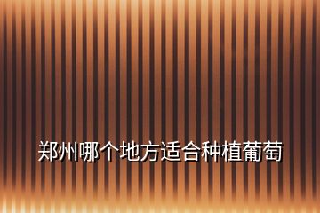 鄭州哪個地方適合種植葡萄