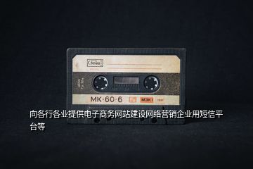 向各行各業(yè)提供電子商務網(wǎng)站建設(shè)網(wǎng)絡營銷企業(yè)用短信平臺等