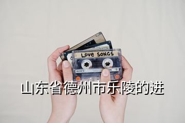 山東省德州市樂(lè)陵的進(jìn)